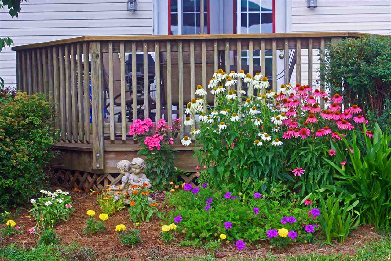 154 Raintree Road Verona, VA 24482 - Photo 35 of 49 a view of a potted flower in a yard