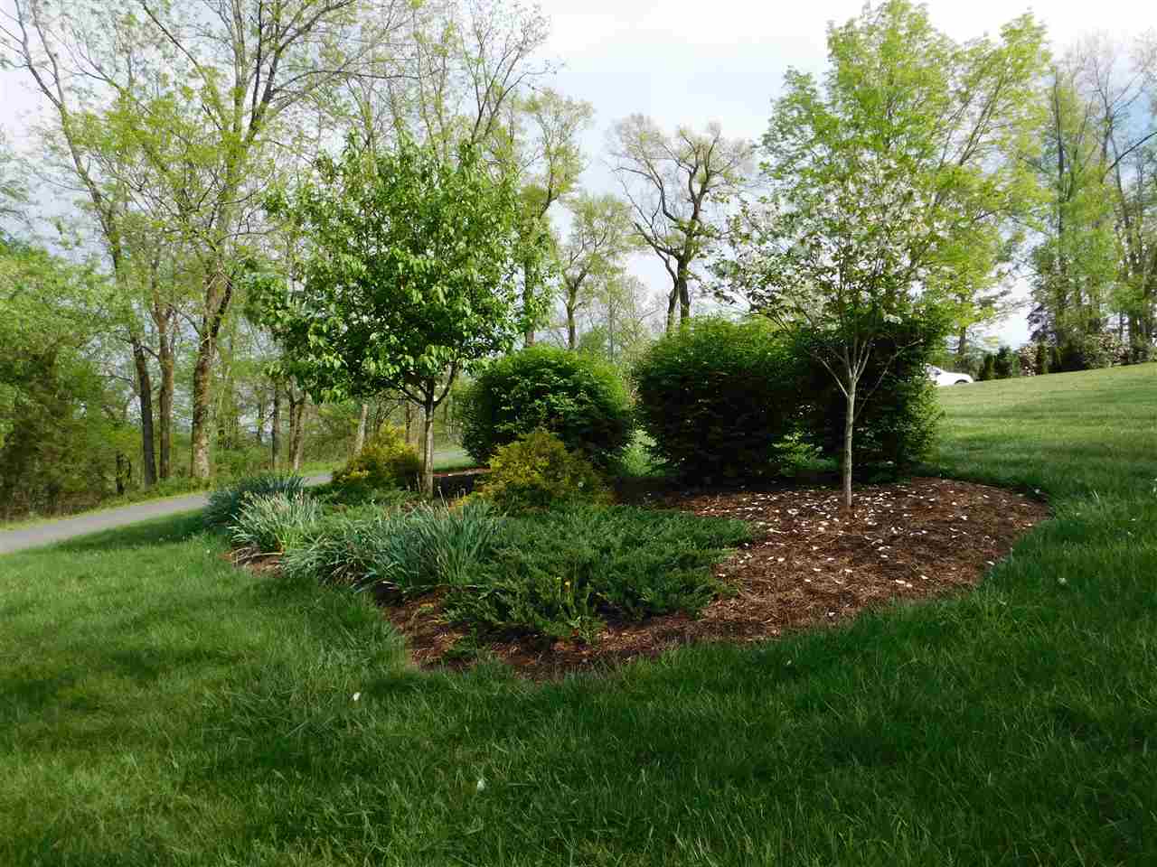 154 Raintree Road Verona, VA 24482 - Photo 43 of 49 a view of a park with large trees