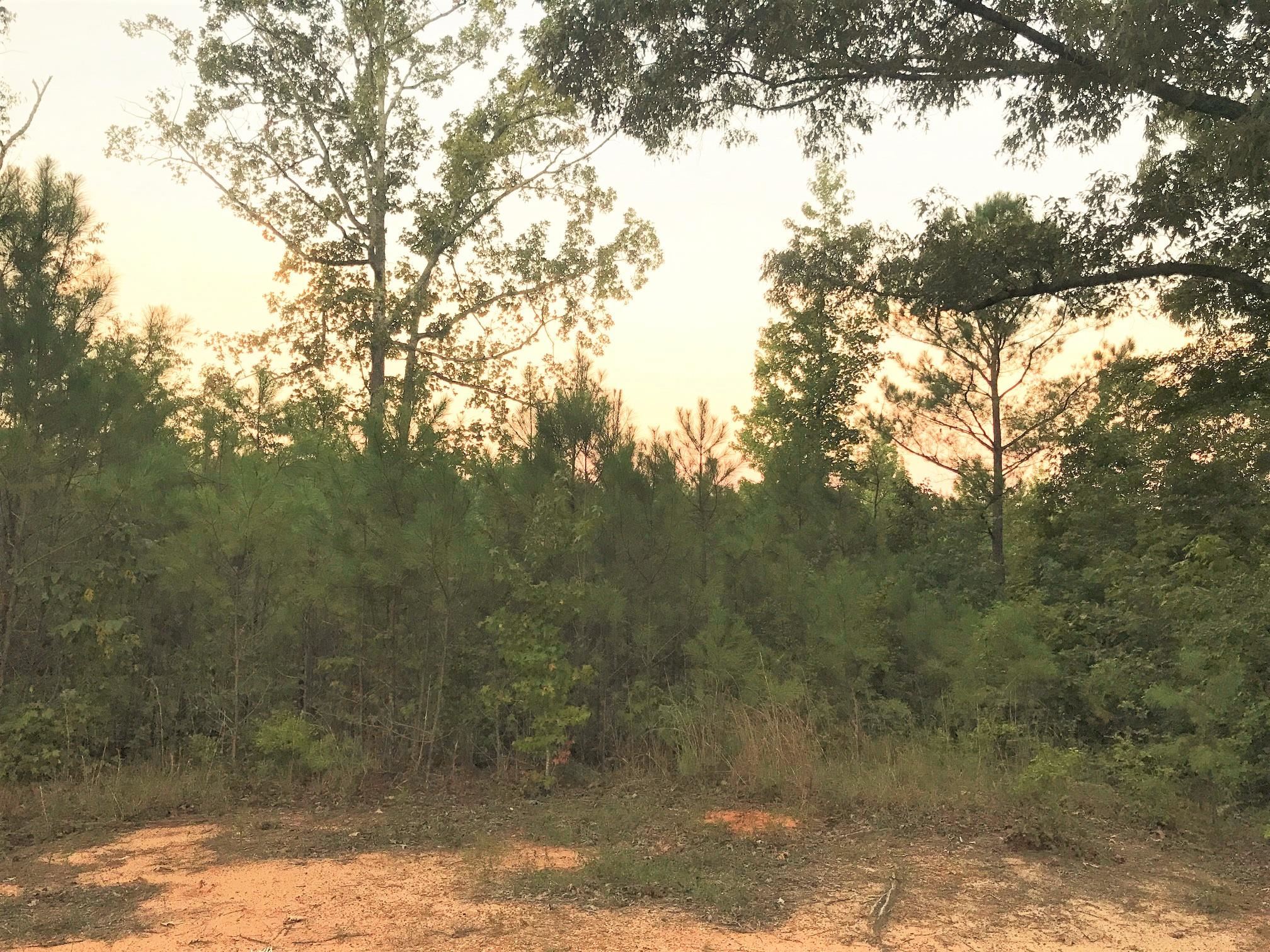a view of mountain view with lots of trees