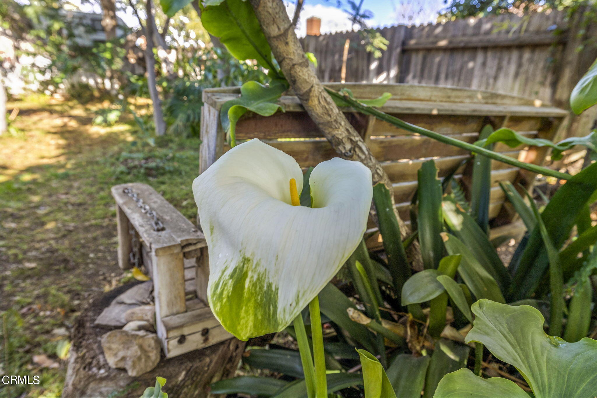2072 Olga Street Oxnard, CA 93036 - Photo 15 of 18 a view of a chairs and table in patio
