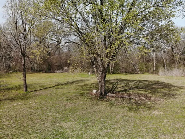 a view of yard with tree
