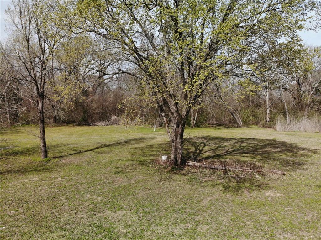 1001 Hunters Lane Bryan, TX 77803 - Photo 11 of 23 a view of a yard with trees