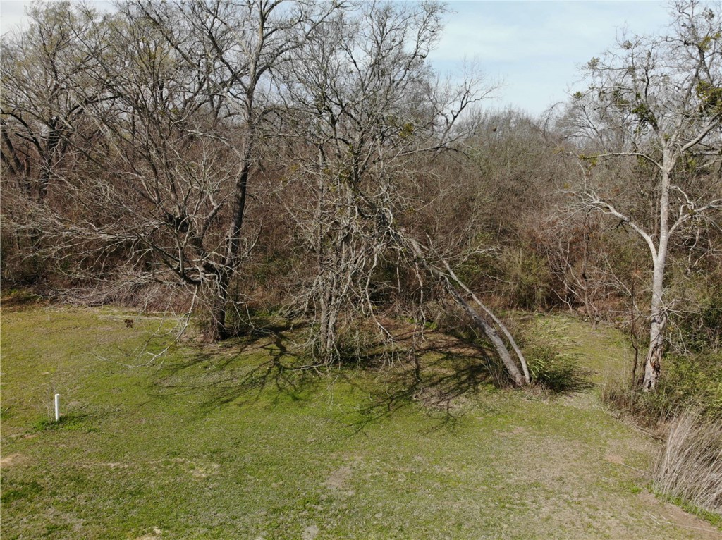 1001 Hunters Lane Bryan, TX 77803 - Photo 17 of 23 a view of a yard with an trees