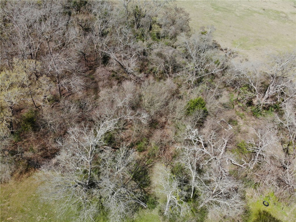 1001 Hunters Lane Bryan, TX 77803 - Photo 19 of 23 a view of a dry yard with green space