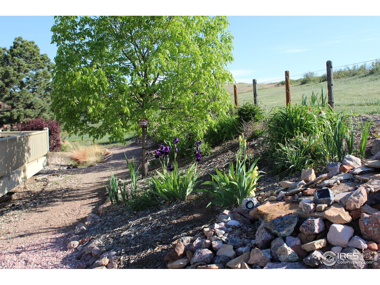 80 Juniper Ridge Road Laporte, CO 80535 - Photo 24 of 39 Established landscaping