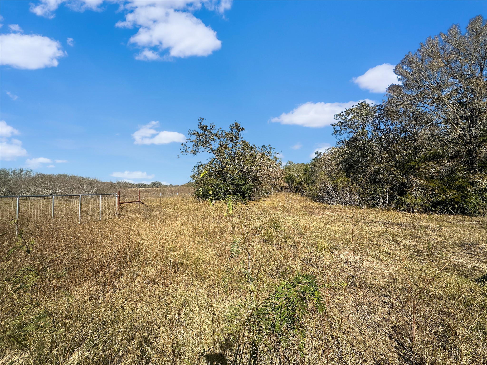 2845 Boehnke Road Muldoon, TX 78949 - Photo 5 of 14