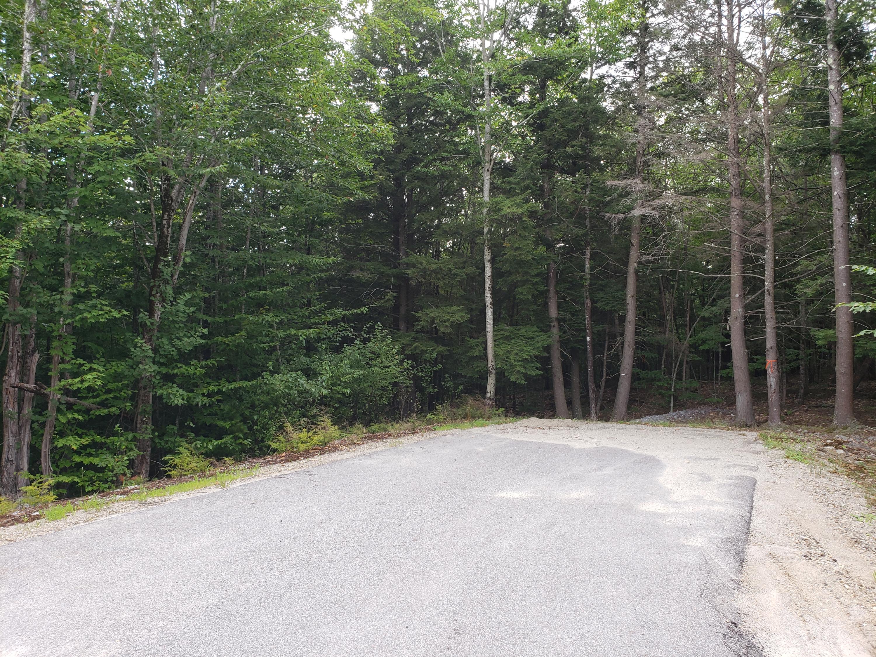Lot 1 Autumn Ridge Sabattus, ME 04280 - Photo 10 of 14 20200819_151150