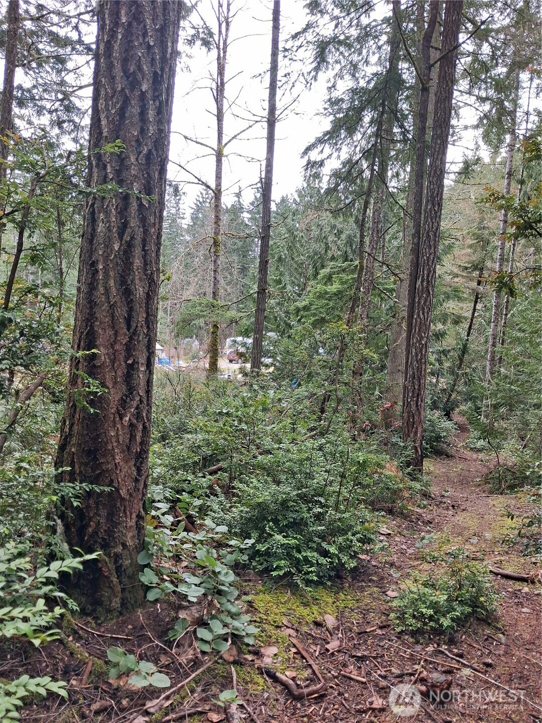 2495 Christopher Road Northwest Seabeck, WA 98380 - Photo 14 of 15