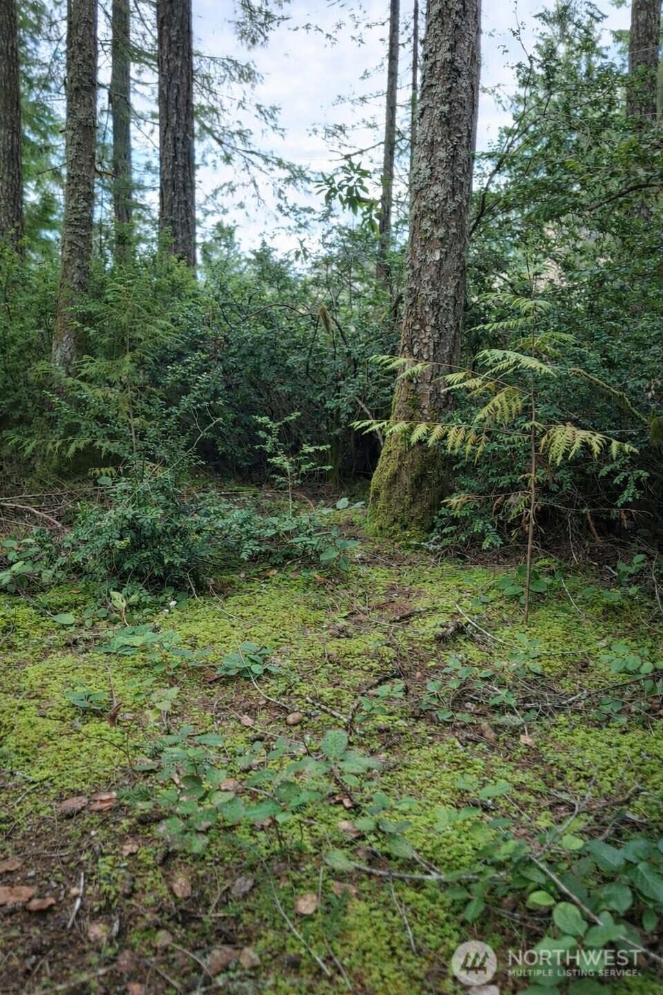 2495 Christopher Road Northwest Seabeck, WA 98380 - Photo 3 of 15