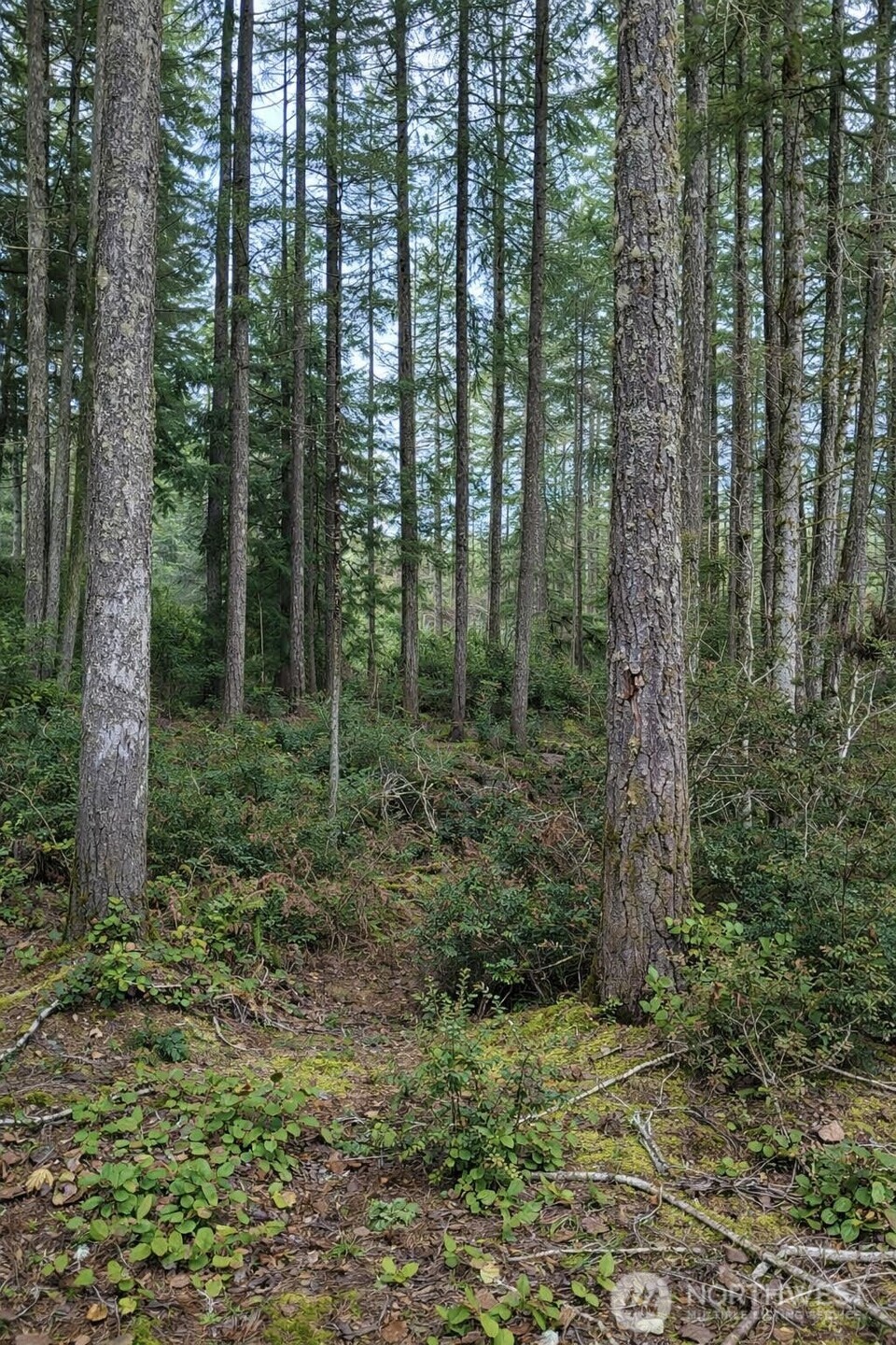 2495 Christopher Road Northwest Seabeck, WA 98380 - Photo 4 of 15