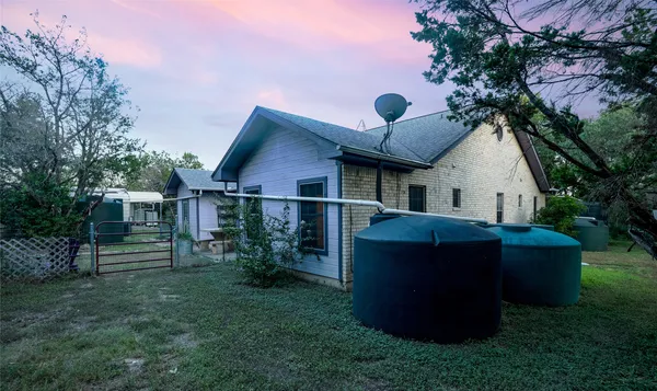 a view of a yard with plants and a large tree