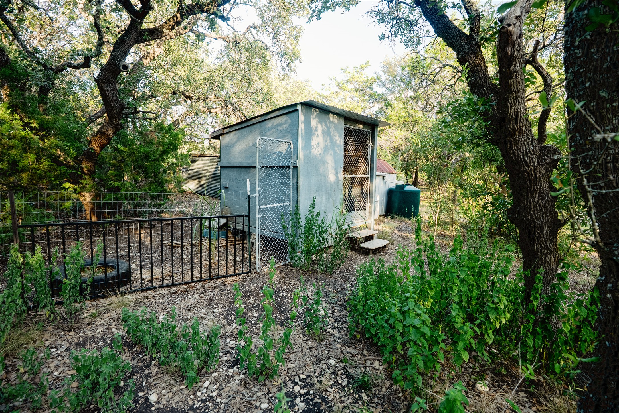 1751 County Road 255 Georgetown, TX 78633 - Photo 18 of 29