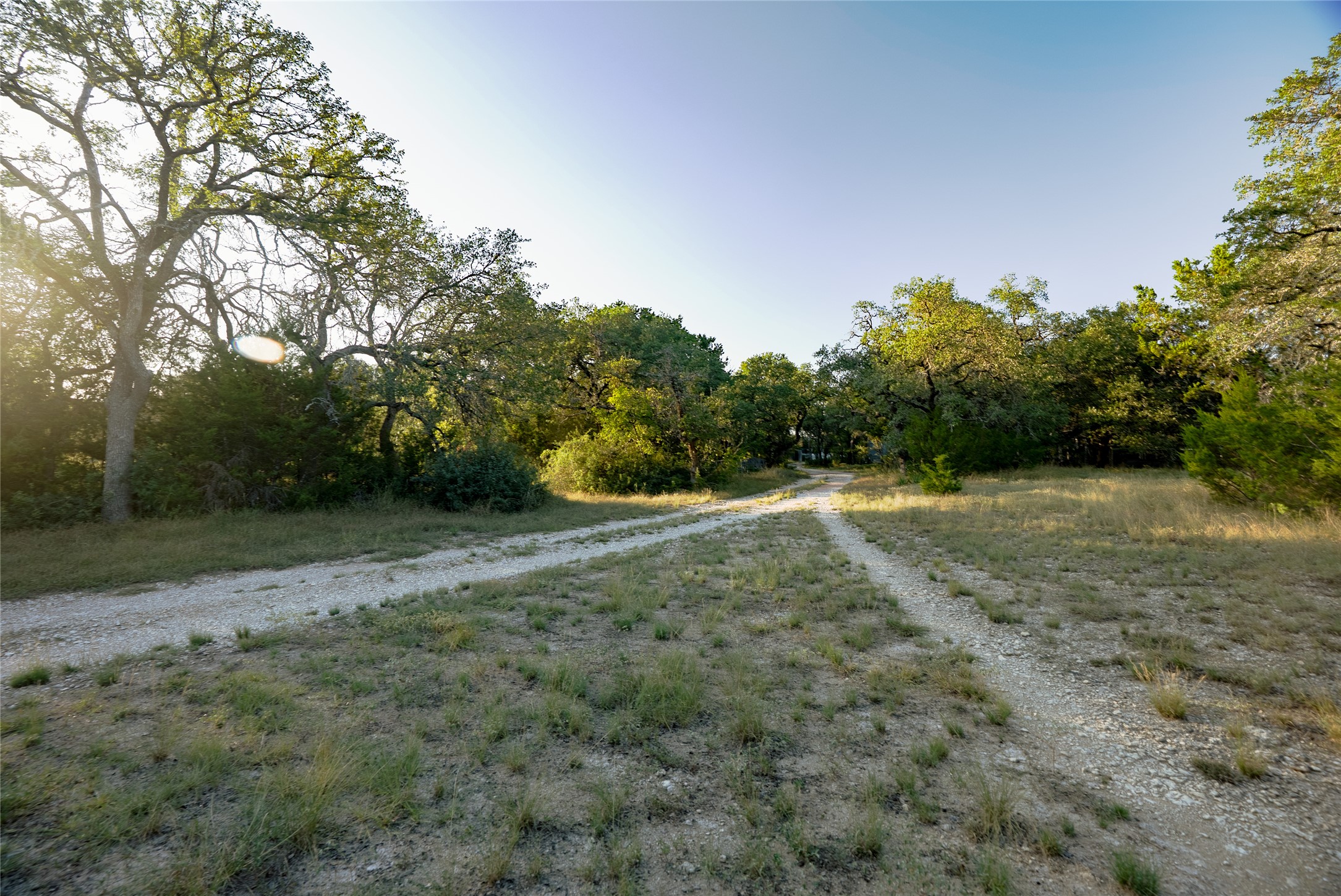 1751 County Road 255 Georgetown, TX 78633 - Photo 21 of 29 a view of a field with trees in the background