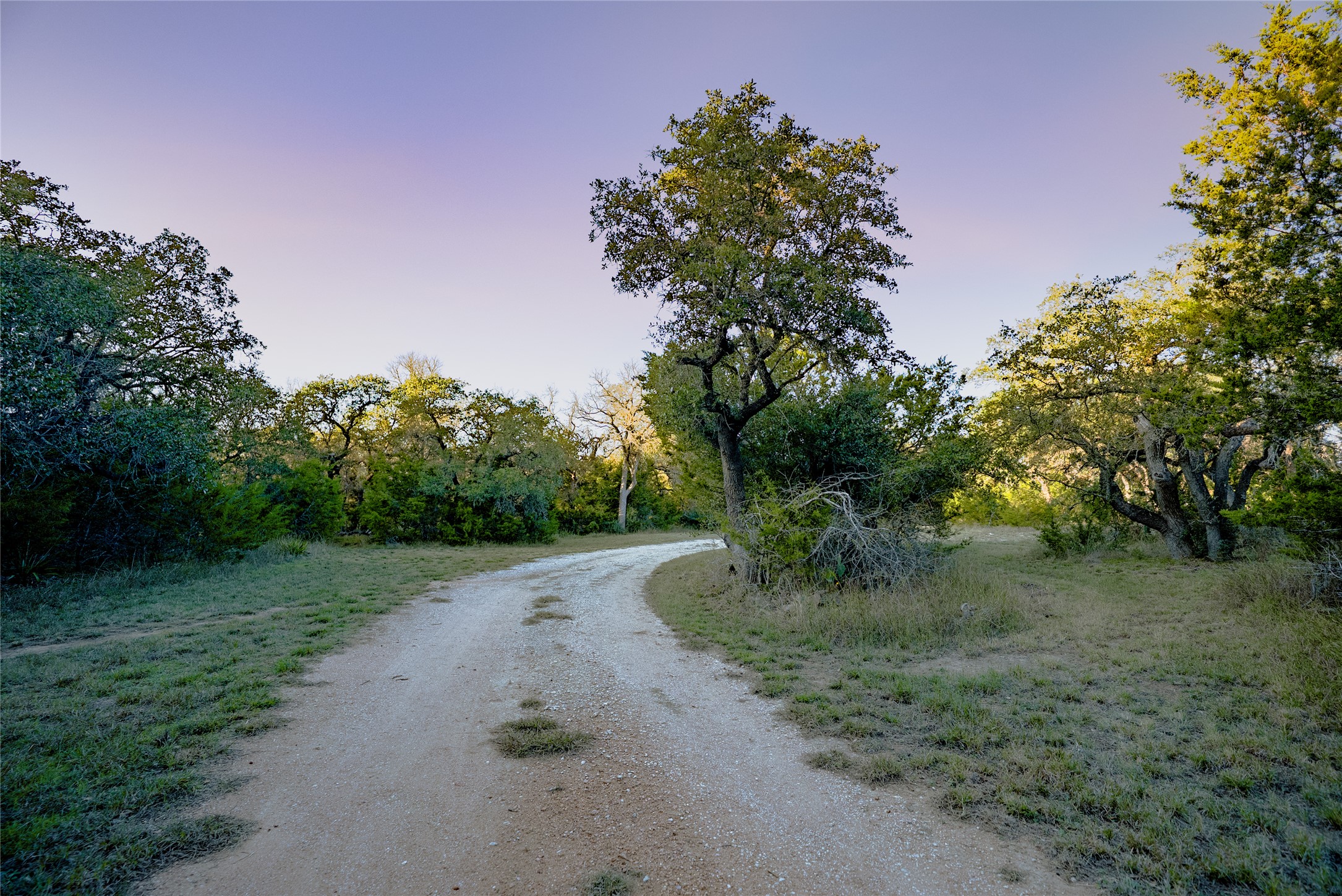 1751 County Road 255 Georgetown, TX 78633 - Photo 22 of 29 a big yard with lots of green space and plants