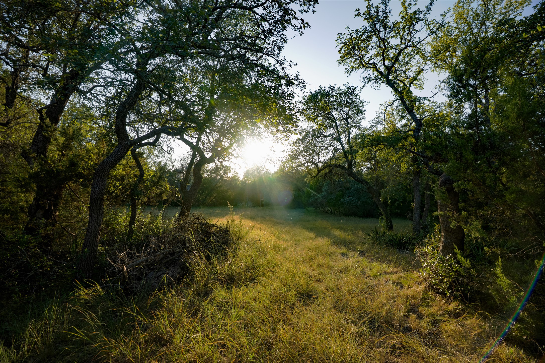 1751 County Road 255 Georgetown, TX 78633 - Photo 27 of 29 a view of a yard