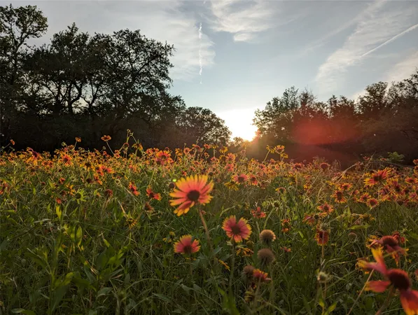 $699,000 | 1751 County Road 255, Georgetown, TX 78633