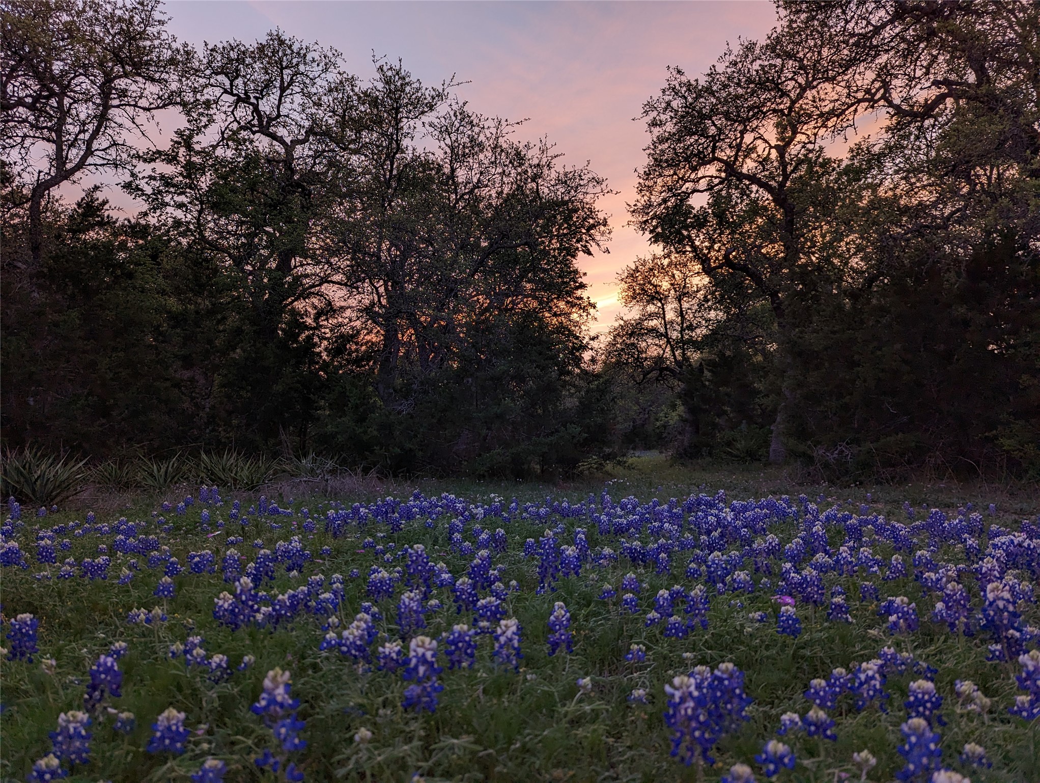 1751 County Road 255 Georgetown, TX 78633 - Photo 29 of 29