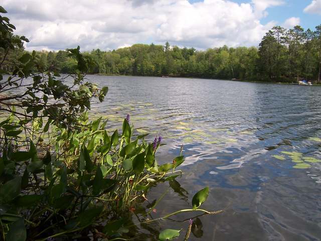 1773 Meta Lake Road Eagle River, WI 54521 - Photo 1 of 6 Gallery Image 1