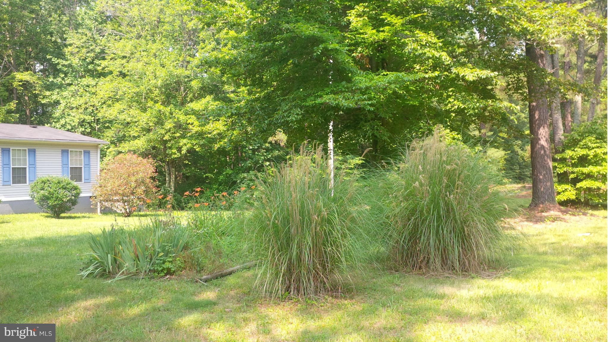 30202 Zoar Road Locust Grove, VA 22508 - Photo 2 of 20 Exterior (General)