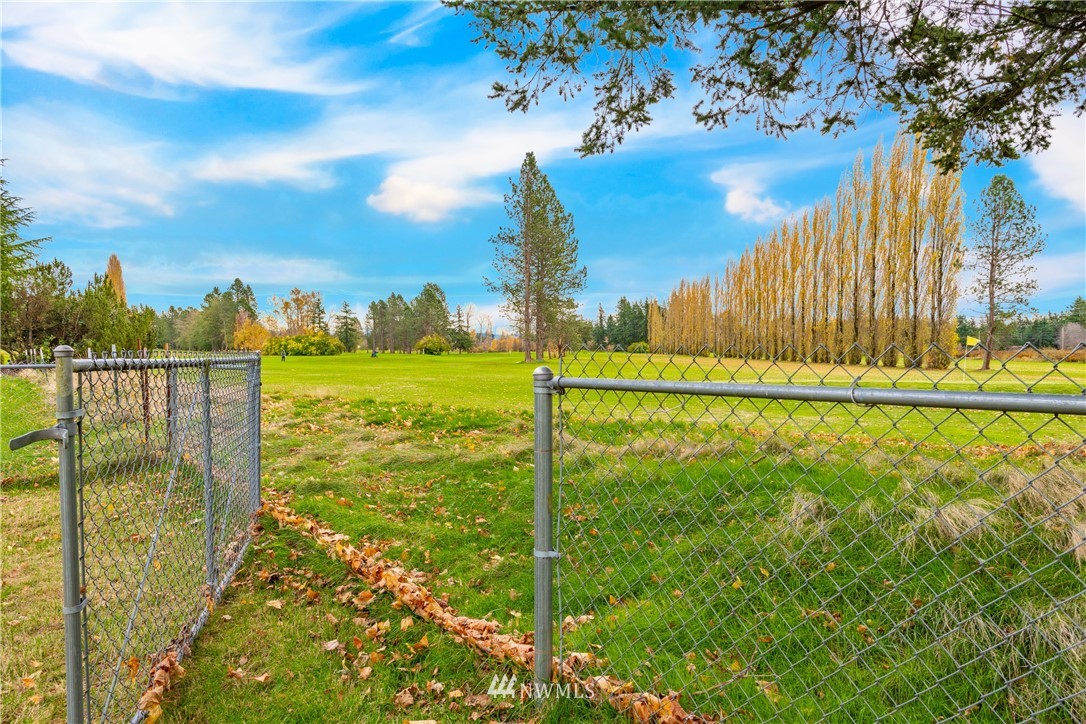 3177 Creasey Road Custer, WA 98240 - Photo 29 of 38 a view of a garden with a tree