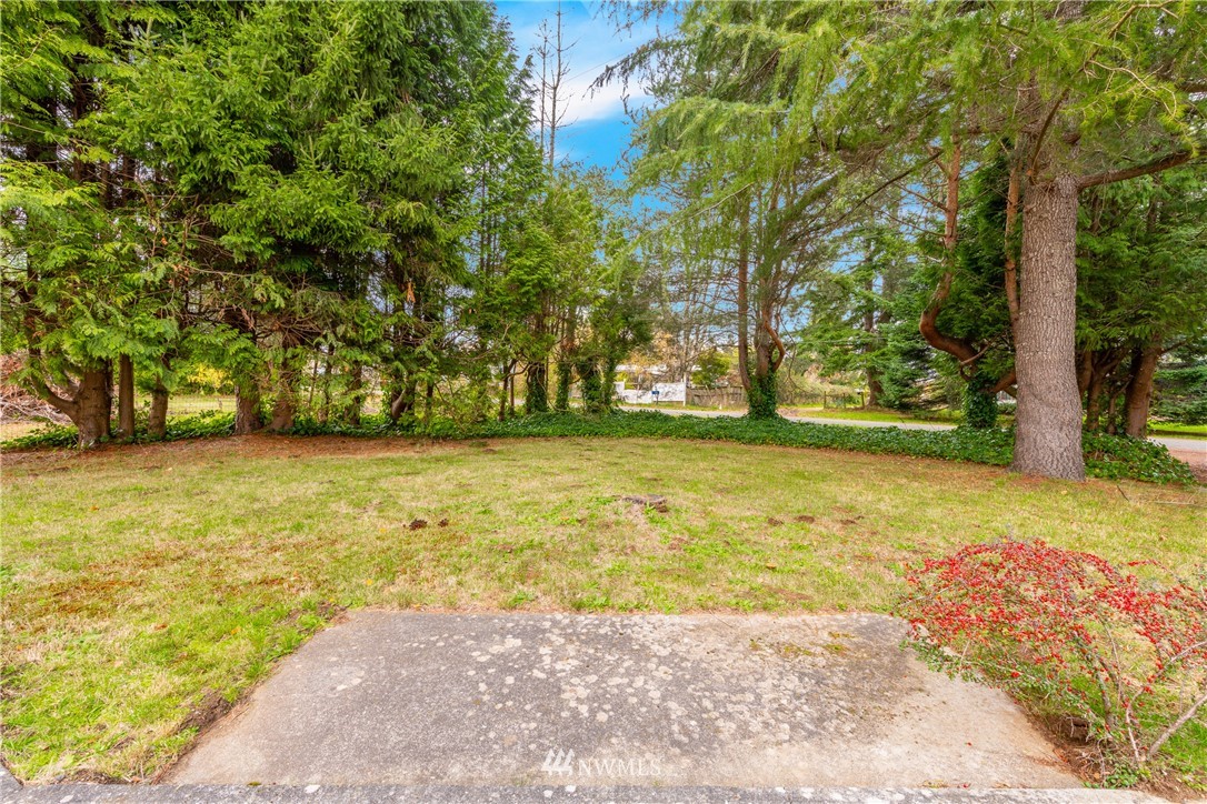3177 Creasey Road Custer, WA 98240 - Photo 34 of 38 a view of an outdoor space and a yard
