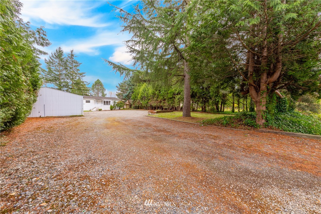 3177 Creasey Road Custer, WA 98240 - Photo 38 of 38 a view of road and trees