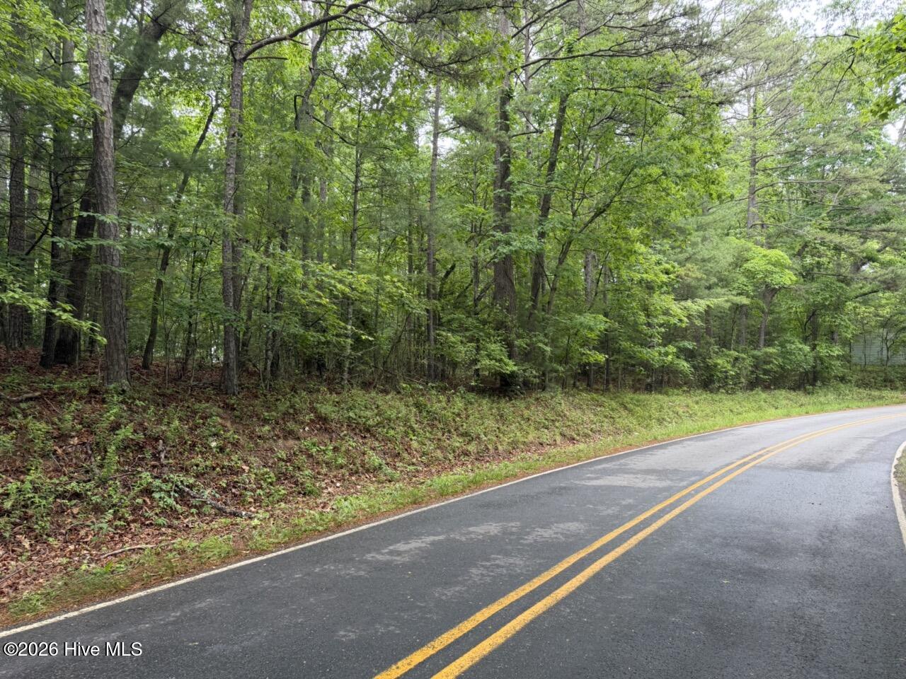 274 Snow Hill Ridge Road Murphy, NC 28906 - Photo 20 of 30