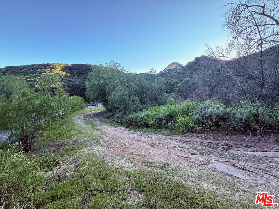 23629 Zuniga Road Topanga, CA 90290 - Photo 14 of 21
