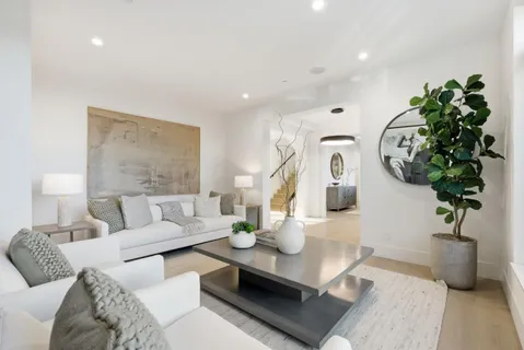 a living room with furniture flowerpot and a potted plant