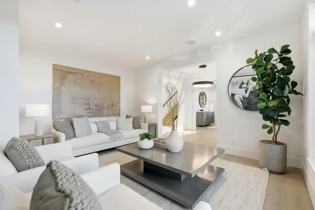 a living room with furniture flowerpot and a potted plant