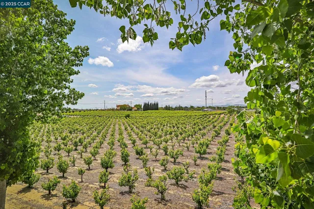 $950,000 | 21 Foxglove Court, Oakley, CA 94561