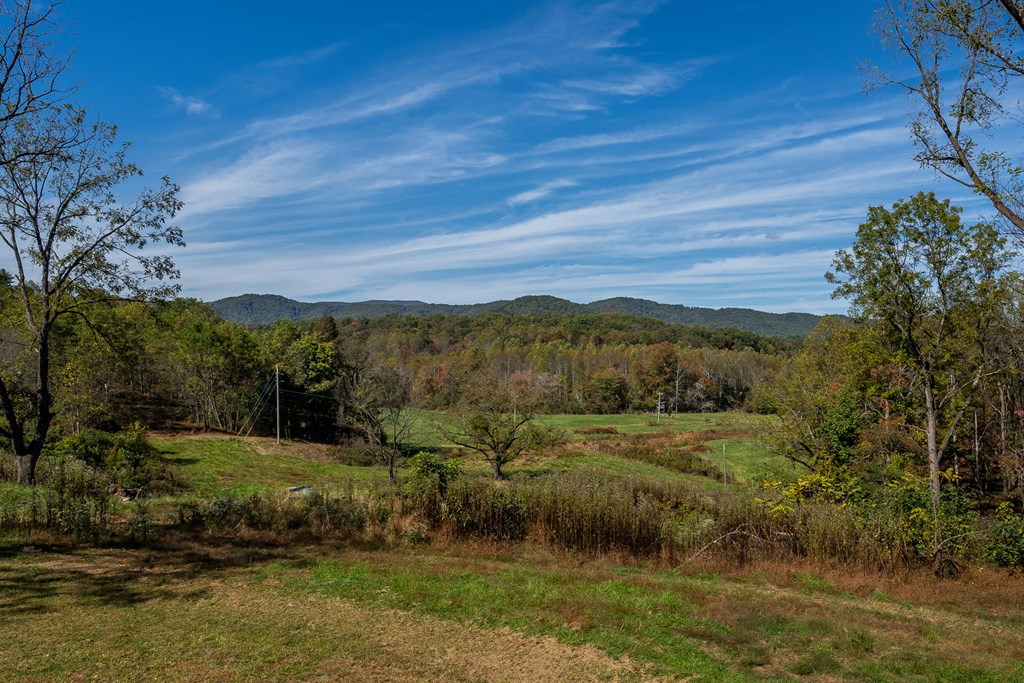 7590-ab Mobile Road Blue Ridge, GA 30513 - Photo 54 of 75