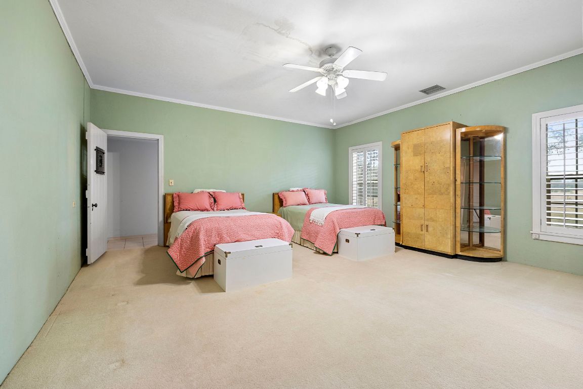 315 Flying R Ranch Road Spring Branch, TX 78070 - Photo 16 of 39 Bedroom with ornamental molding, carpet floors, and a ceiling fan