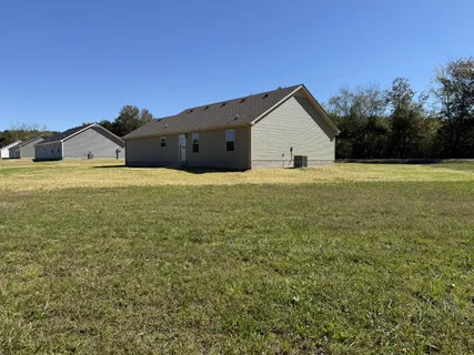 a view of a big yard with plants and large trees