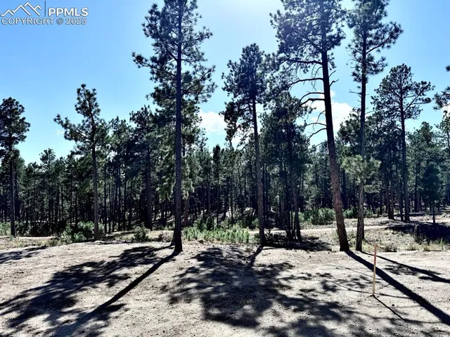 $806,608 | 3145 Promise Point, Colorado Springs, CO 80921