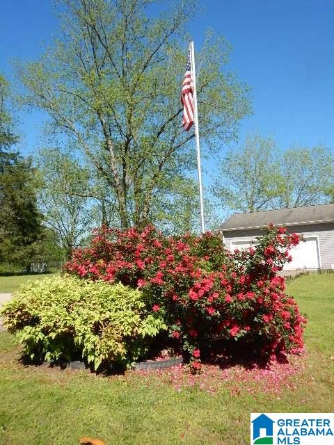 432 Lamon Chapel Loop Jasper, AL 35503 - Photo 30 of 33
