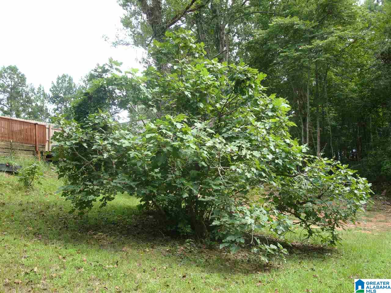 1259 County Road 76 Clanton, AL 35045 - Photo 29 of 41