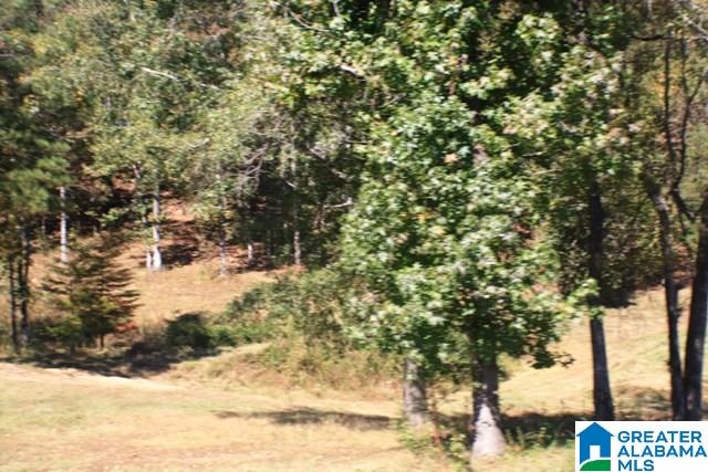 1785 Nunnally Lake Road Ohatchee, AL 36271 - Photo 48 of 50