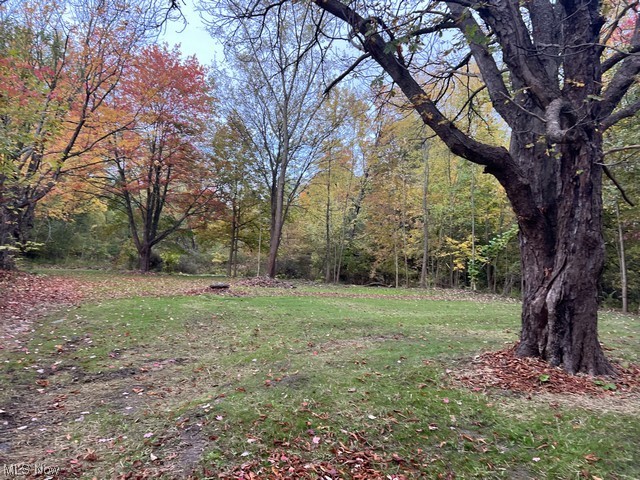 6742 Warren - Sharon Road Brookfield, OH 44403 - Photo 3 of 16 View of yard