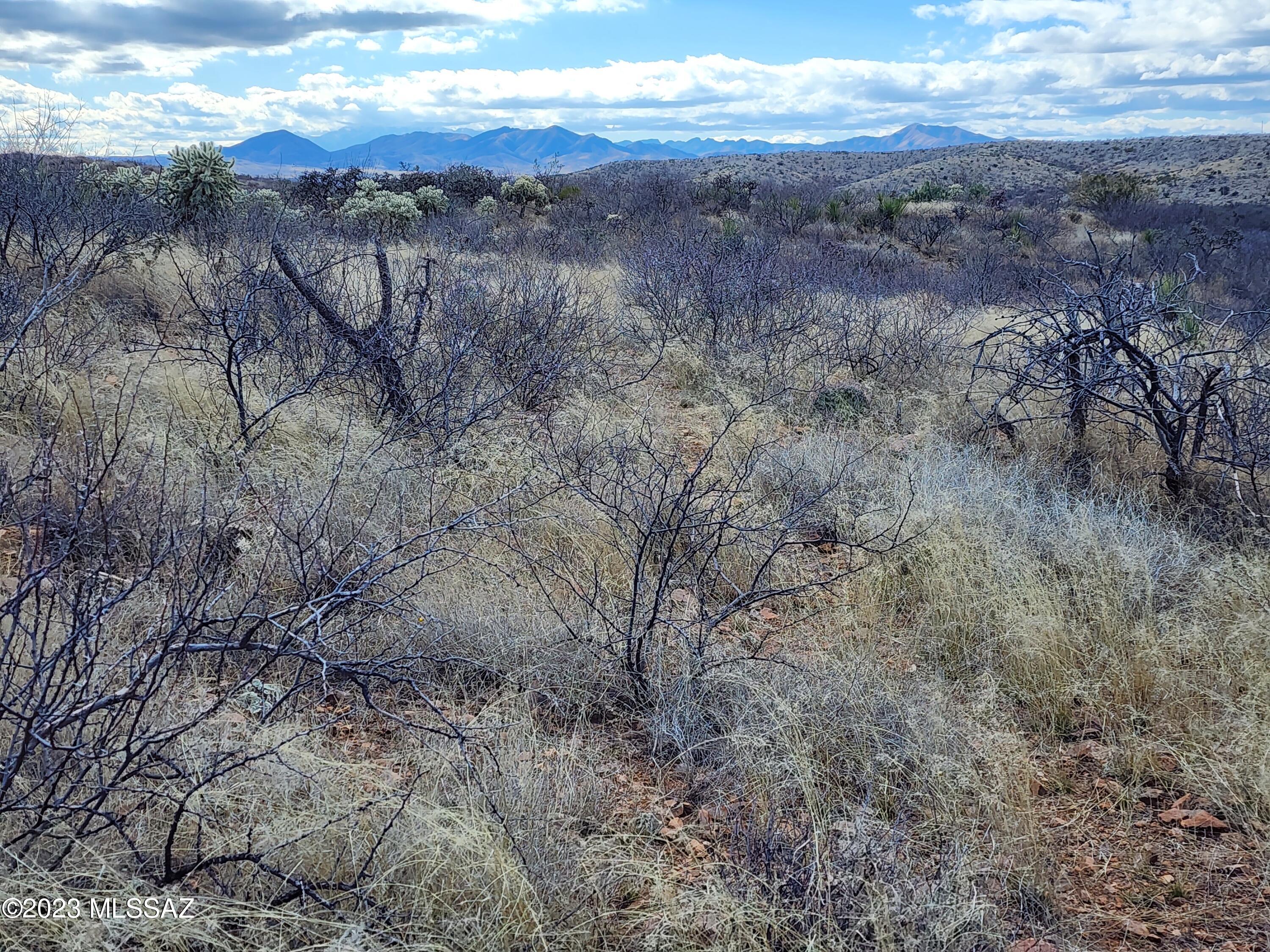13791 South Bell Road Benson, AZ 85602 - Photo 27 of 39 Gallery Image 27