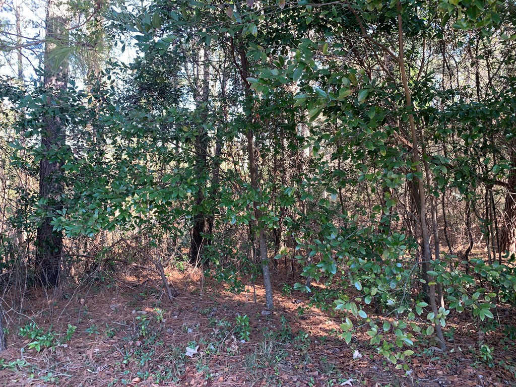 83 Pine Log Road Johnston, SC 29832 - Photo 5 of 5