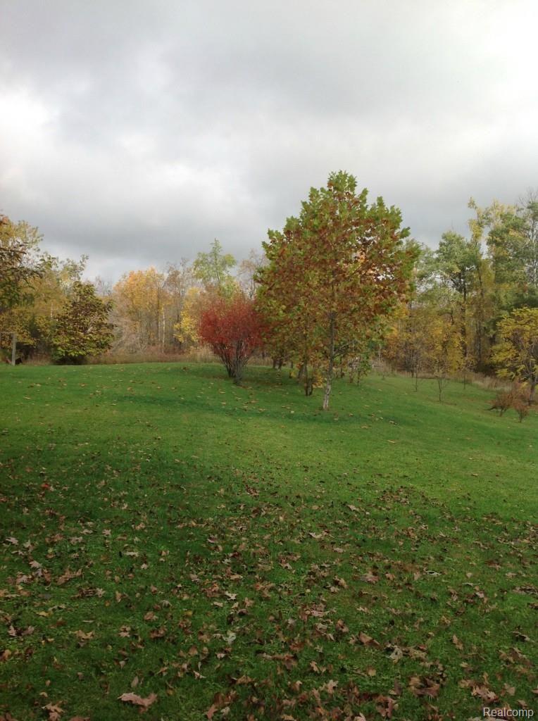 6147 Willis Road North Branch, MI 48461 - Photo 26 of 41 Beautiful Rolling Property