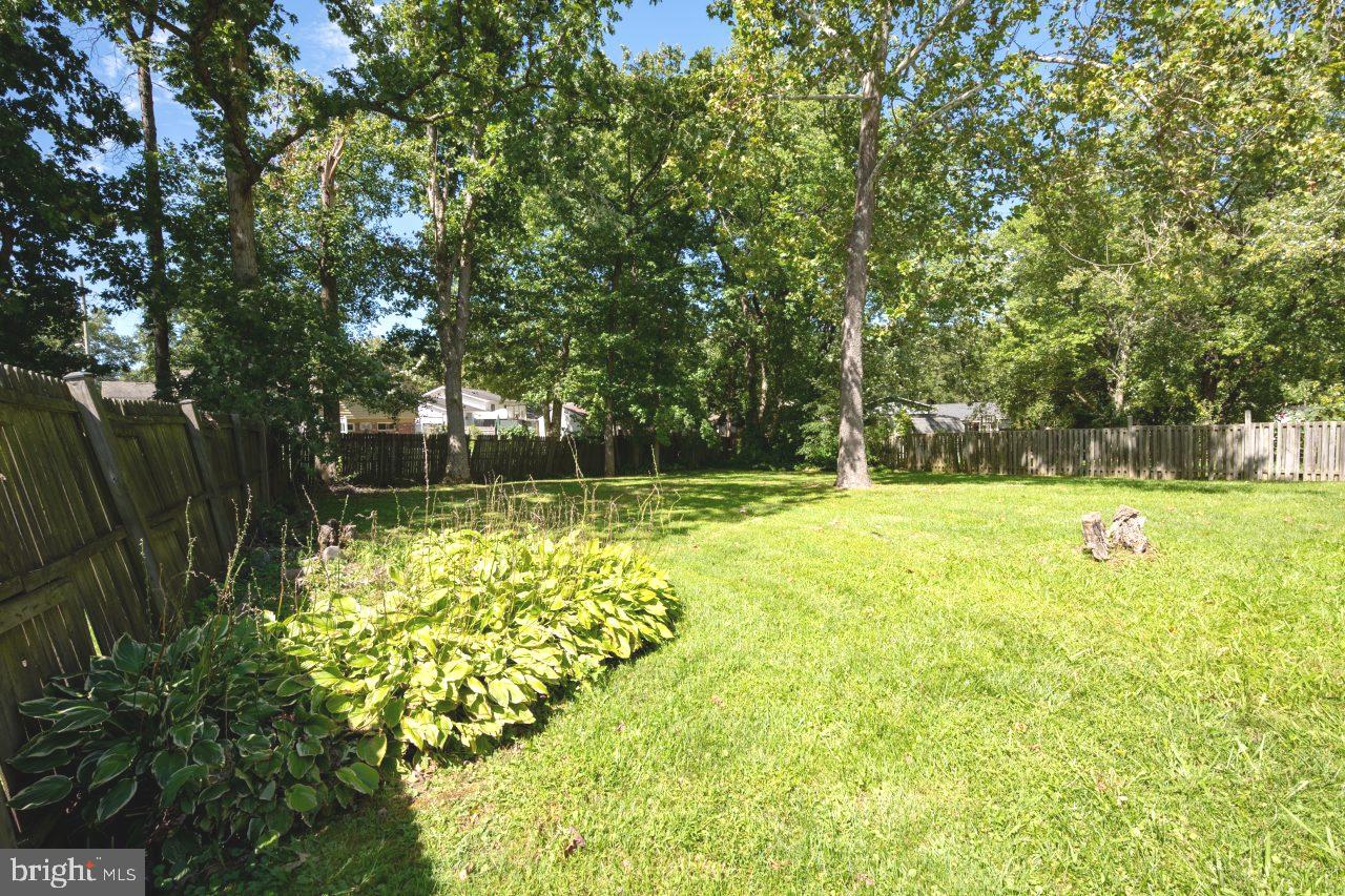 6806 Nashville Road Hyattsville, MD 20784 - Photo 26 of 30 Backyard