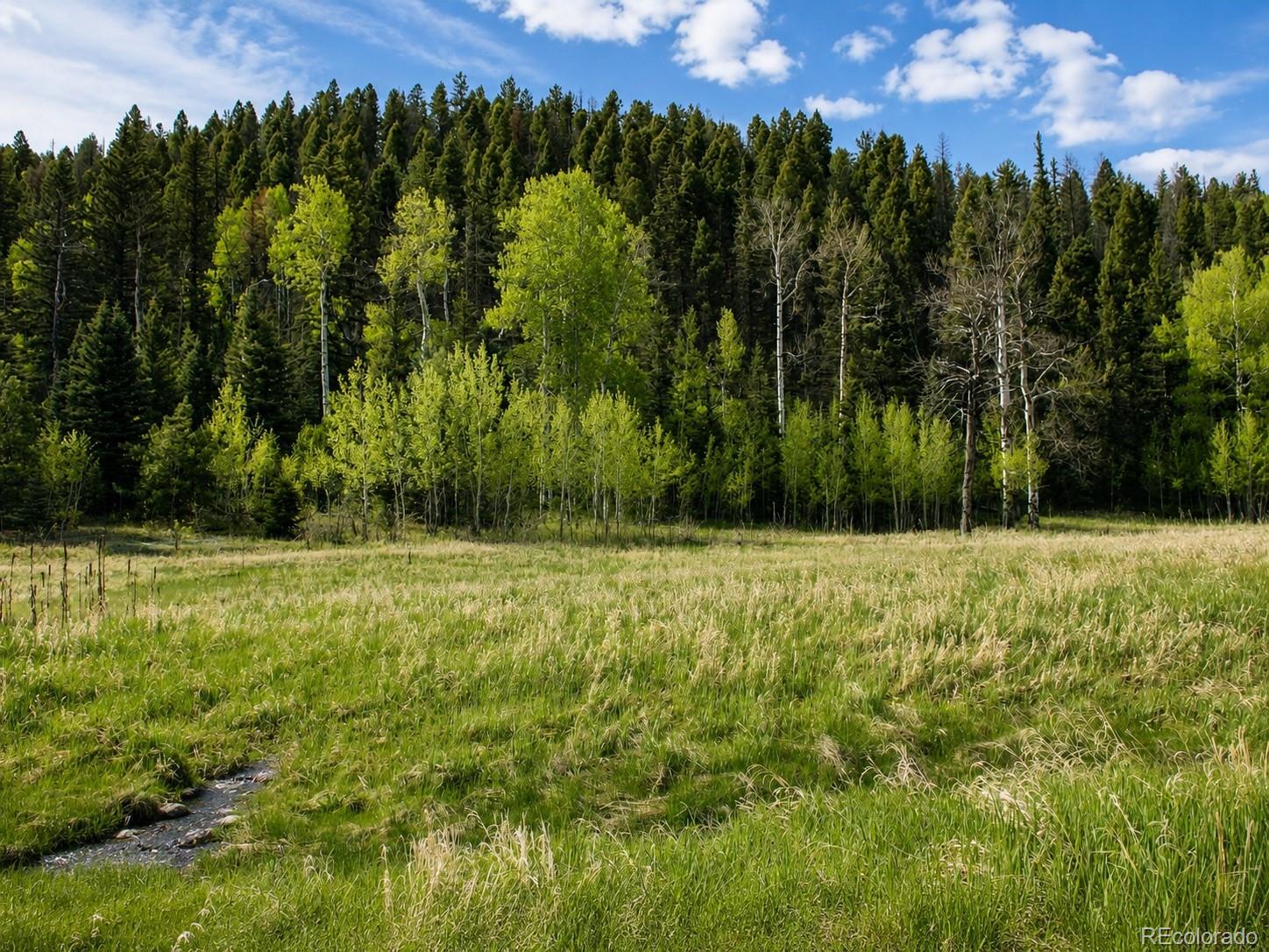 Lot 1 Co Road Westcliffe, CO 81252 - Photo 16 of 42
