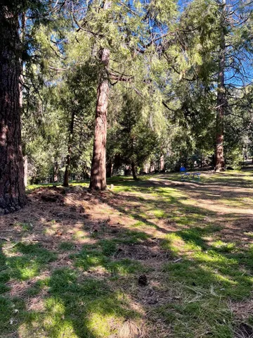 a view of outdoor space with deck and tree