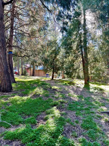 a view of green field