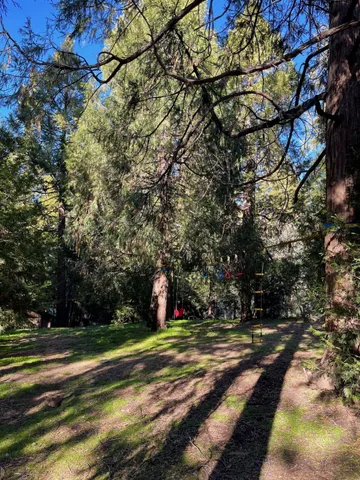 a view of green field