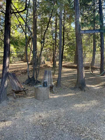 a view of a yard with a tree