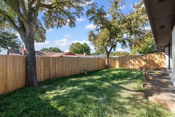 a view of backyard with tree