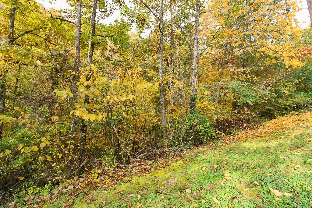 85 Smoky Cove Road Sevierville, TN 37876 - Photo 10 of 25 a view of a yard